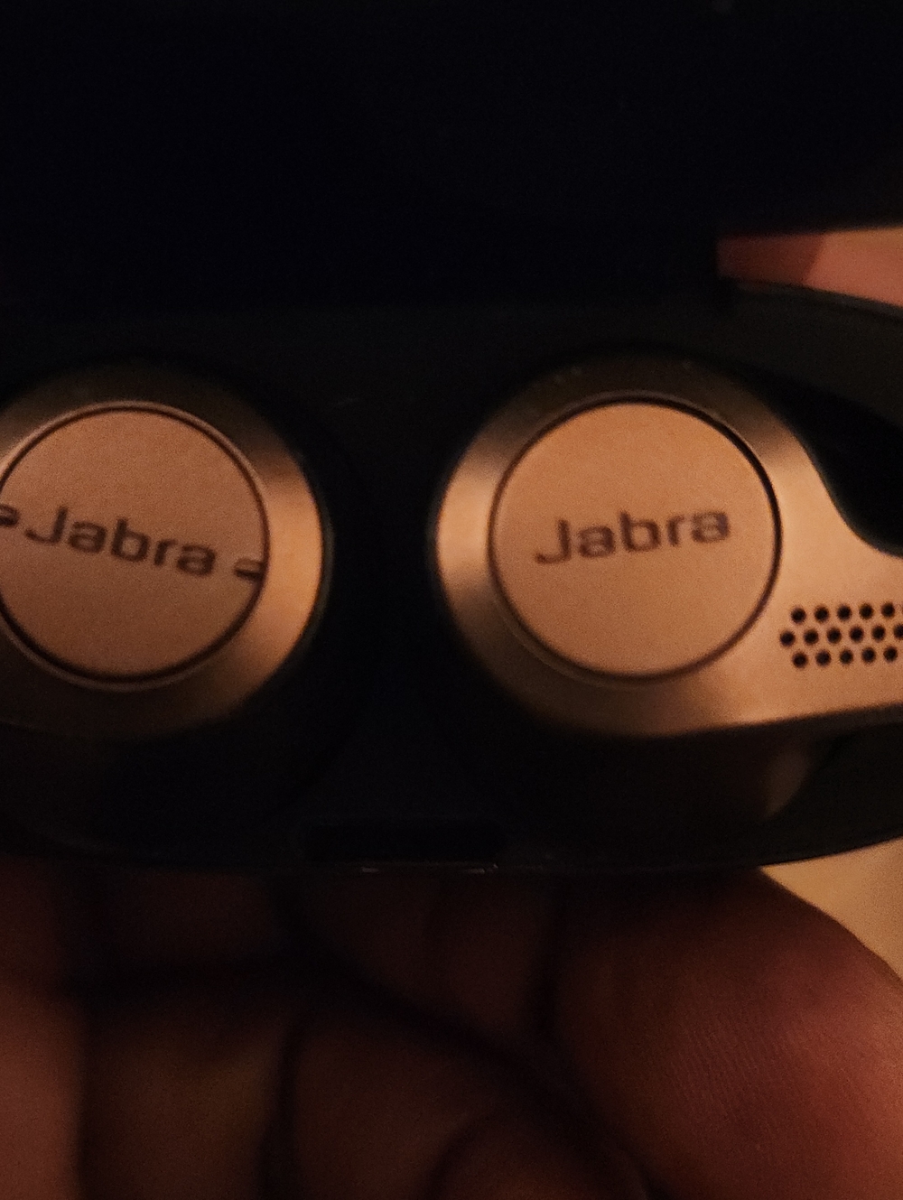 Jabra True Wireless Earbuds Case - Metallic Gold